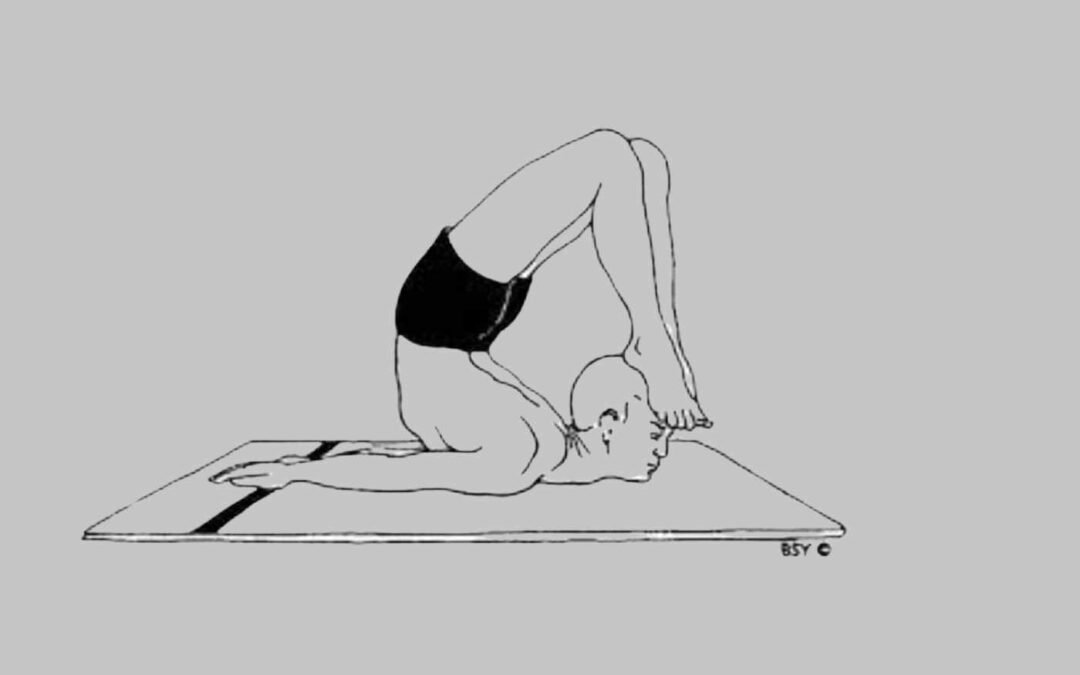 Mastering the Full Locust Pose (Poorna Shalabhasana): A Comprehensive Guide
